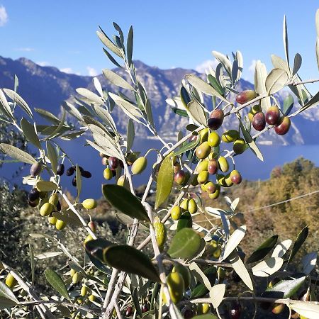 Appartamento Leccino Malcesine Exterior foto