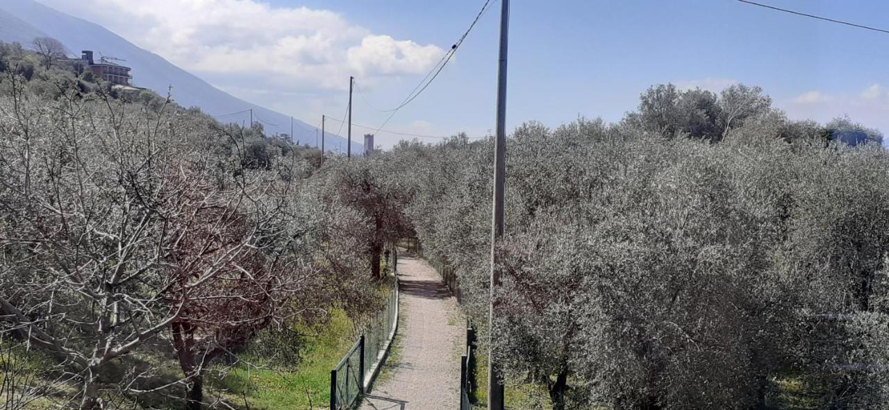 Appartamento Leccino Malcesine Exterior foto